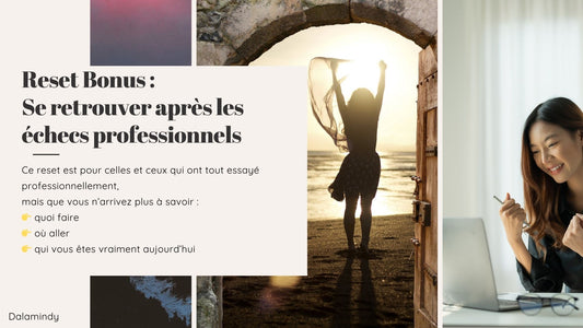 Reset Bonus - Se retrouver après les échecs professionnels